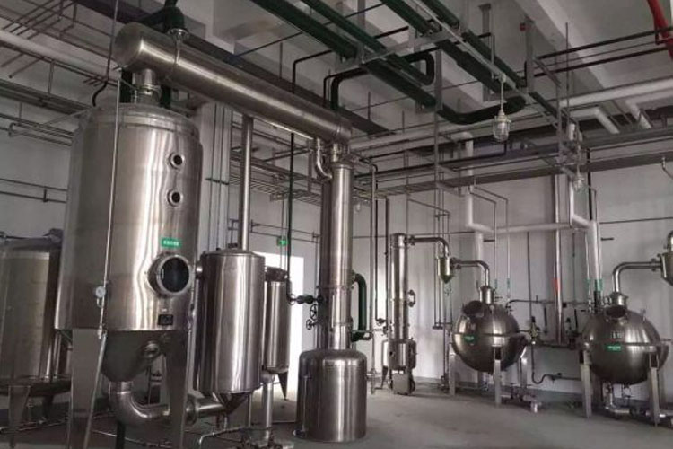 Extraction and processing system