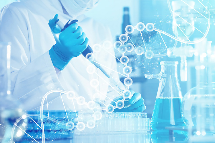 Chemical Industry