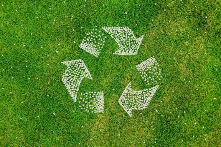 Environmental Industry