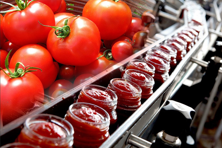 Food and Beverage Industry