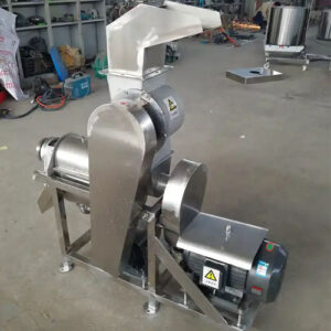 Fruit and Vegetable Crusher
