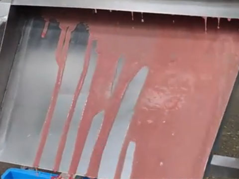 Tomato Pulping