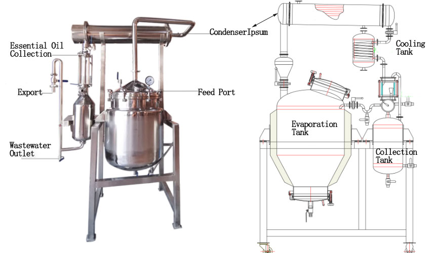 Schematic Diagram of a Small Essential Oil Extractor