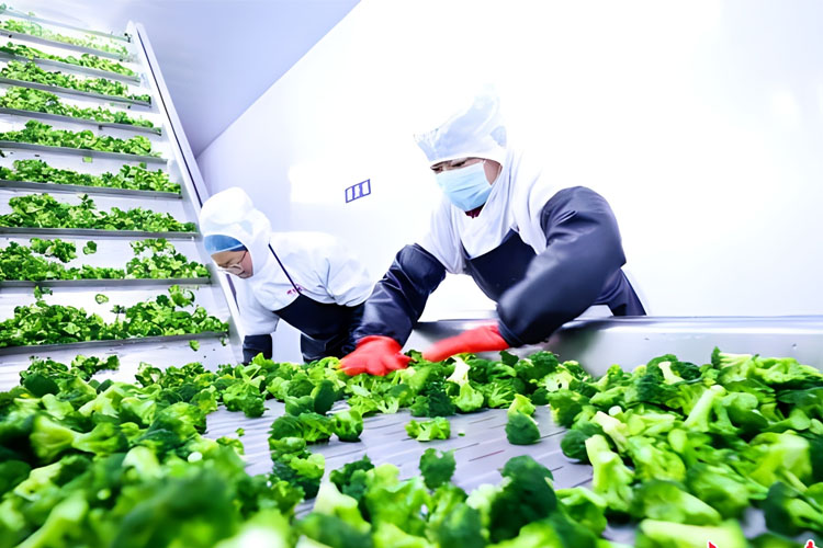 Fruit and vegetable processing