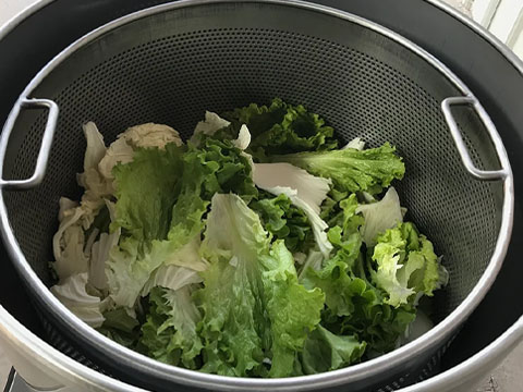Stainless Steel Spin Drying Bucket