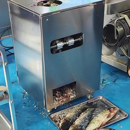 Fully automatic fish killing machine, Fish cleaning and descaling machine