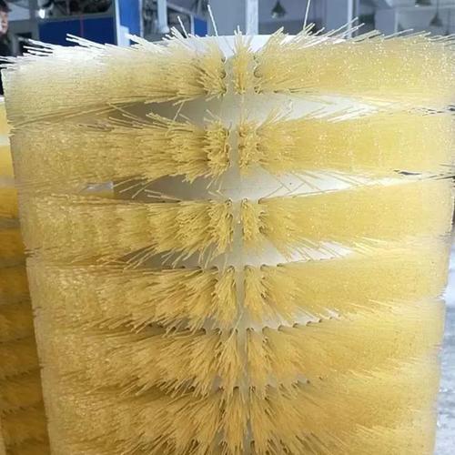 Brush rollers of roller brush cleaning machine
