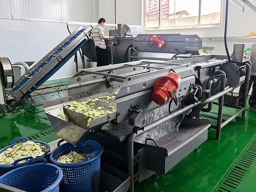 Eddy current fruit and vegetable cleaning machine fed at one end and discharged by a vibrating conveyor at the other en