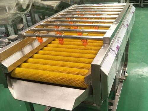 Parallel roller cleaning machine fed at one end and discharging clean produce at the other end