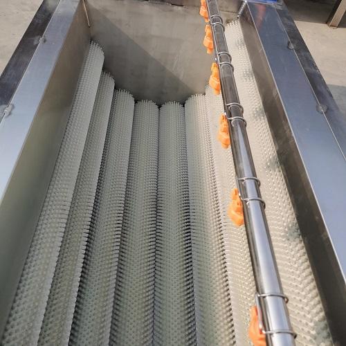 Preview of Vegetable and Fruit Roller Brush Cleaning Machine