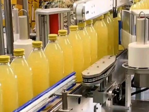 Row of round bottles with applied labels moving along a packaging conveyor