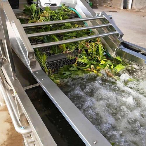 Stainless steel leafy vegetable bubble washing equipment