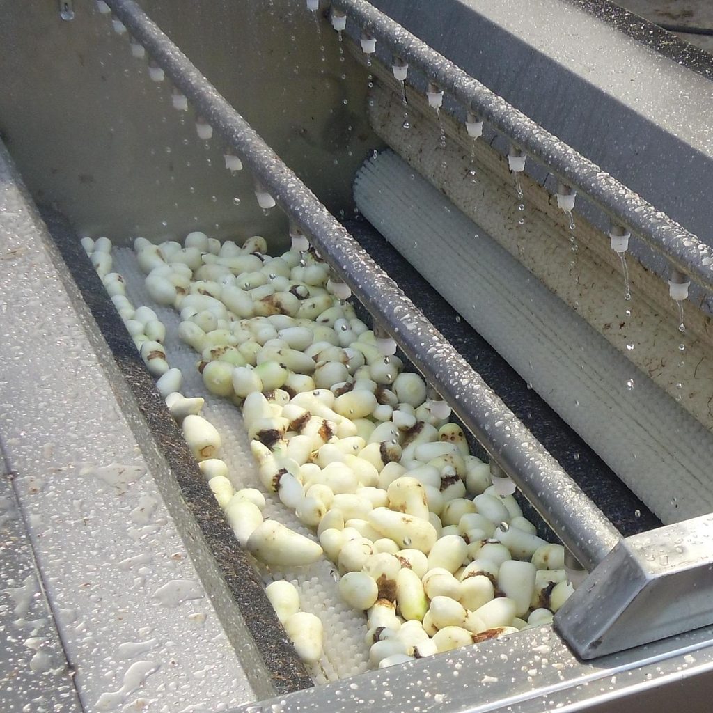 Stainless steel potato and taro scrubbing equipment