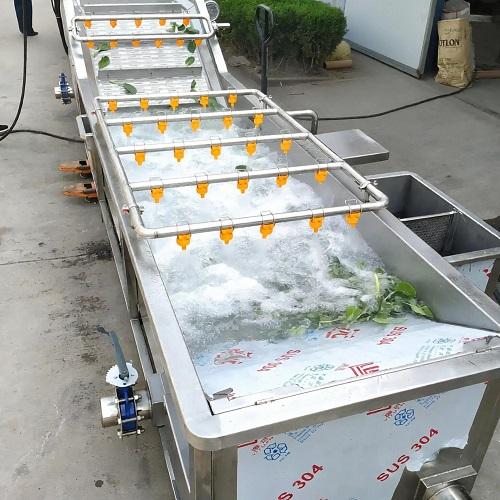vegetables bubble washing machine overview